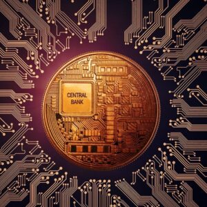 Central Bank Digital Currency